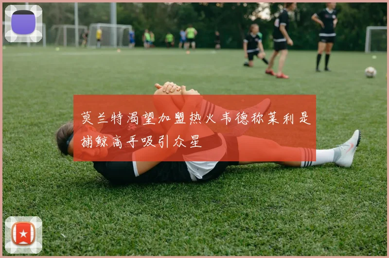 莫兰特渴望加盟热火韦德称莱利是捕鲸高手吸引众星