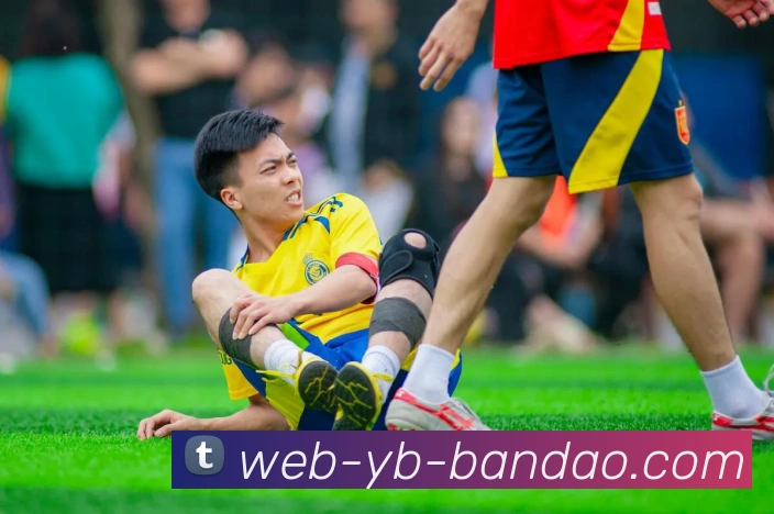 半岛体育APP 封面图